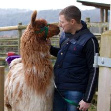 llama trekking