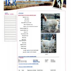 ILR Registration