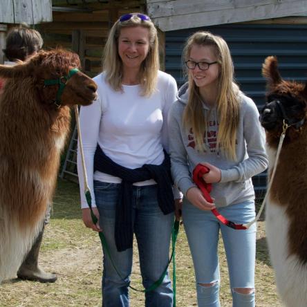 llama trek