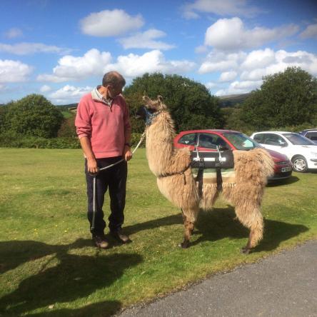 trekking llama