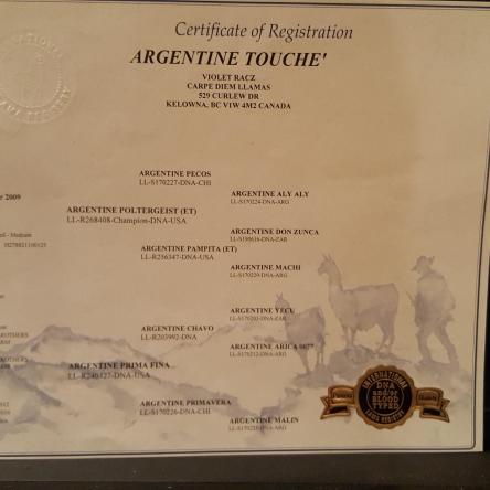 ilr certificate